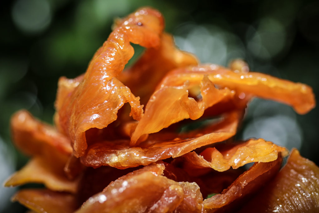 Patti Howard's chicken jerky dog treat recipe