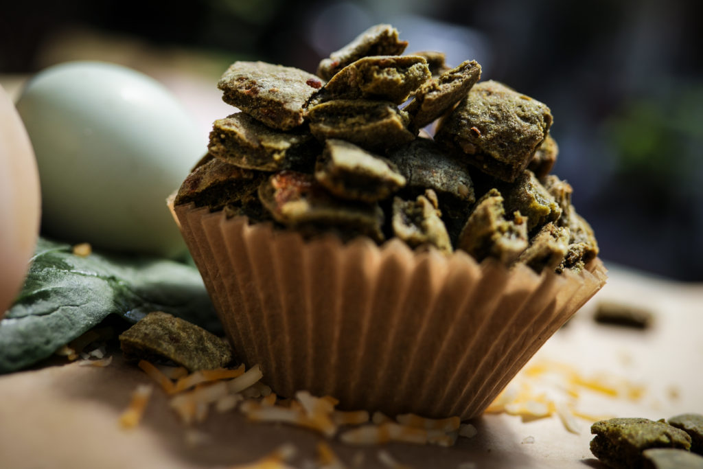 Patti Howard's sardine dog treat recipe