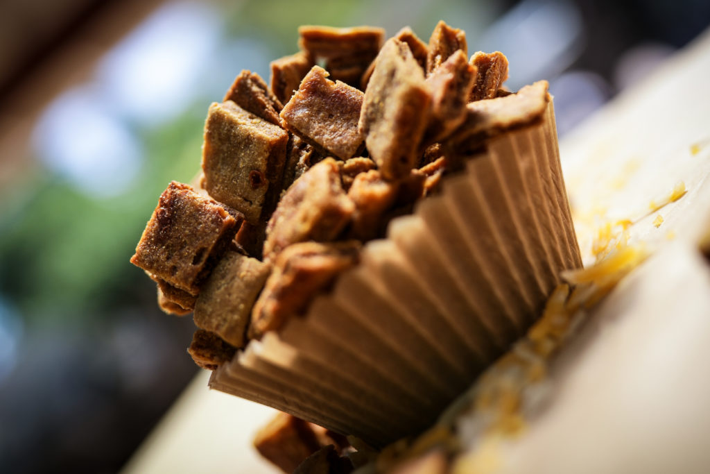 Patti Howard's healthy puppy food recipe